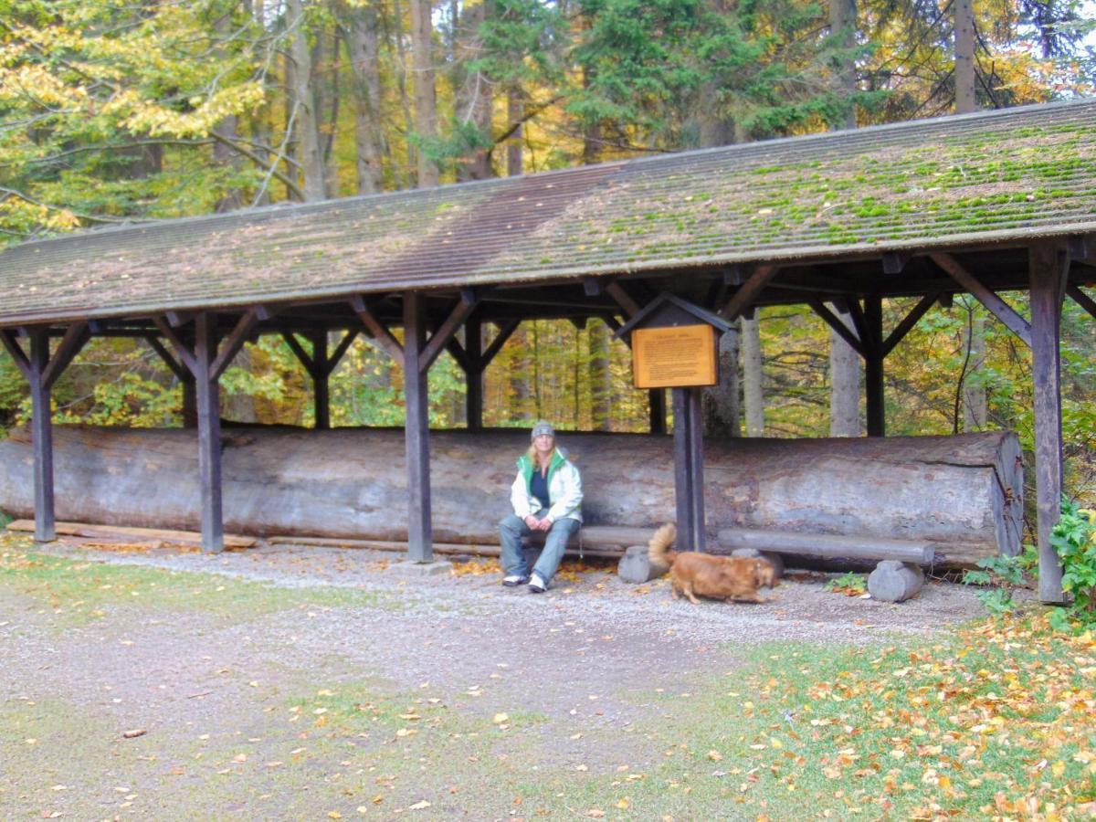 Retro Kemp Pod Boubinem Horní Vltavice Exterior photo